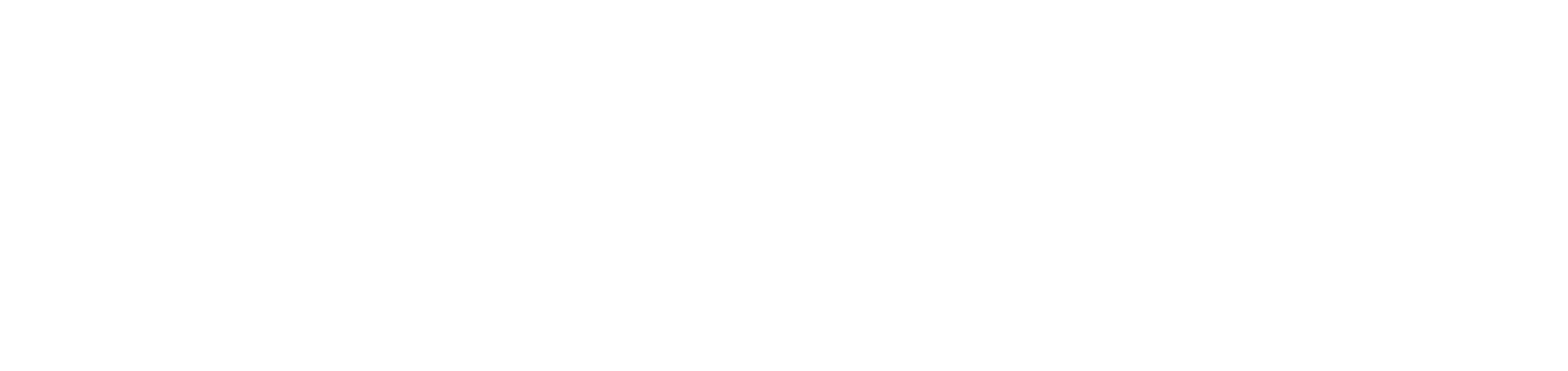 Delta Put Inzenjering logo